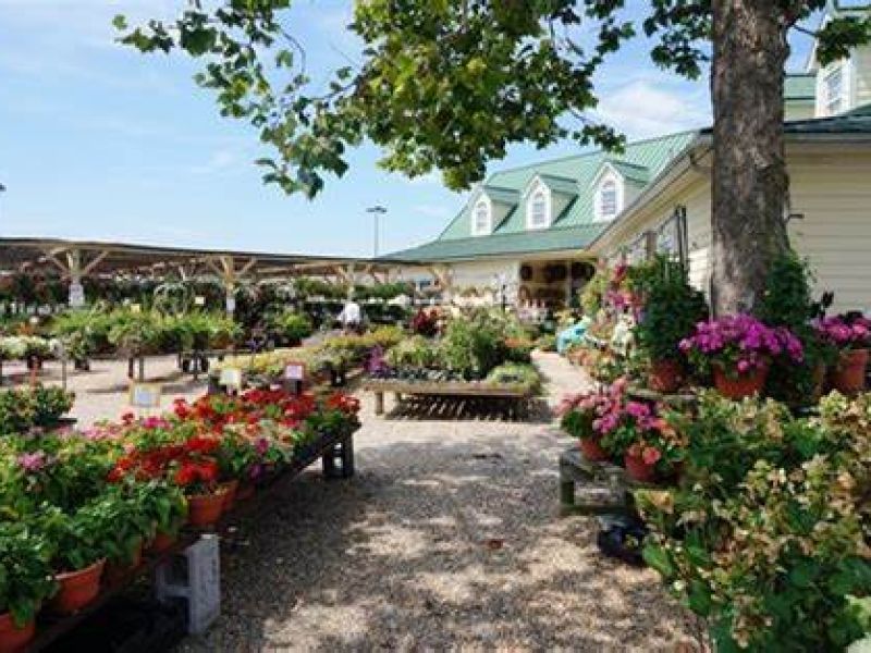 Jernigan's Boutique / Nursery & Trading Post