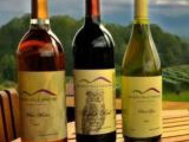 Brandon Hills Vineyard