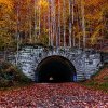 Deserted road and tunnel leading nowhere surrounded by fall foliage