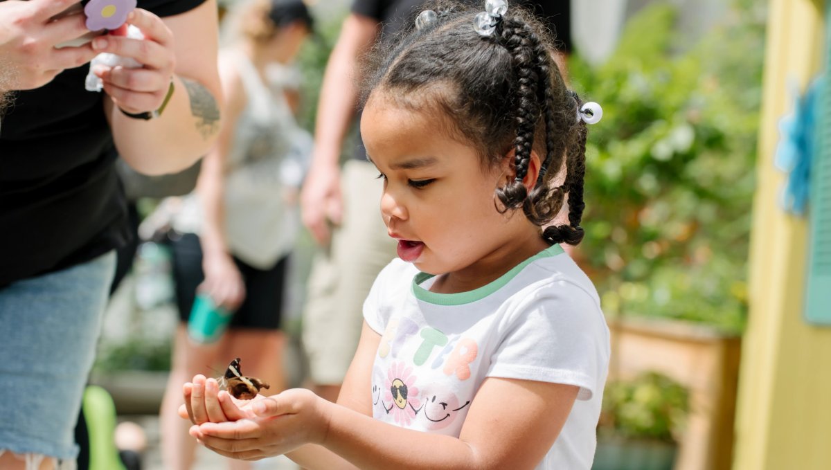 Little girl holding butterfly at exhibit at North Carolina Zoo
