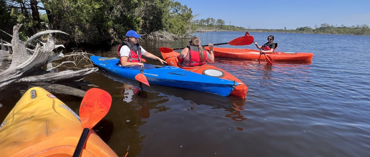 Kayakers on creek near land during beautiful sunny day.