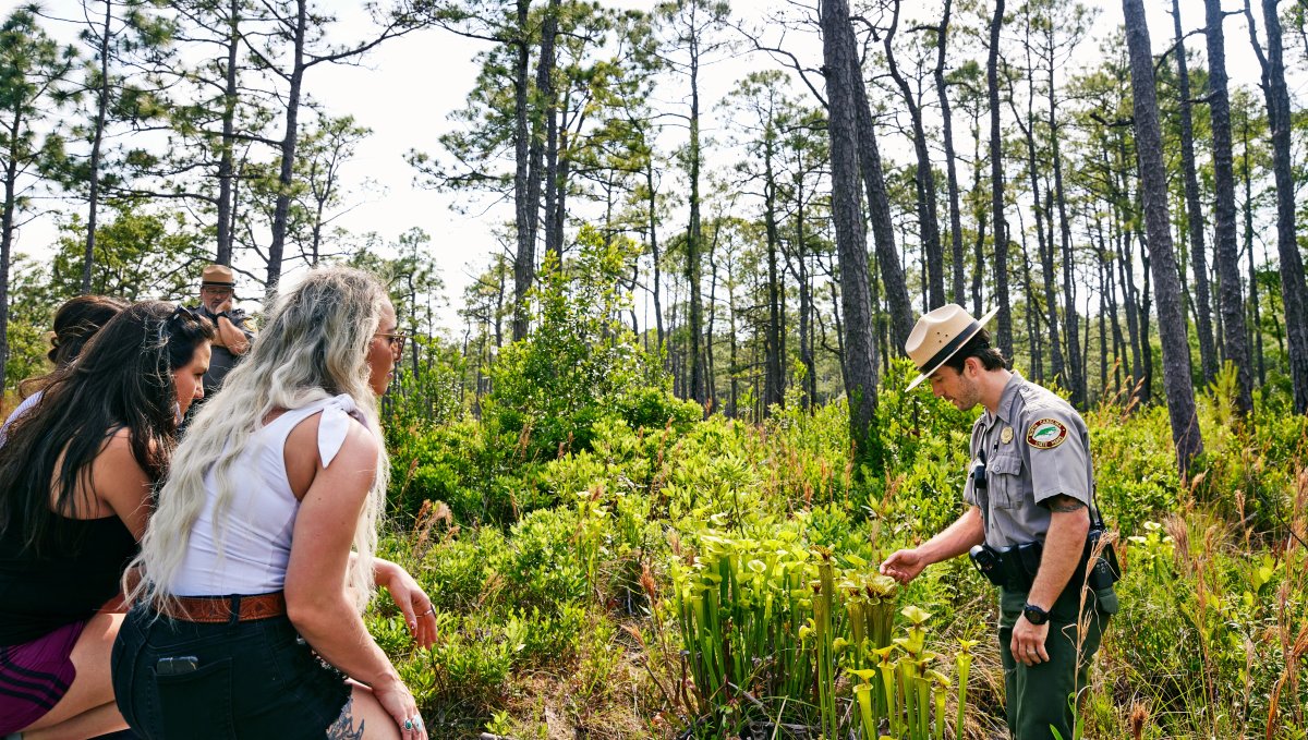 Park ranger shows plants to onlookers with trees and shrubs surrounding them