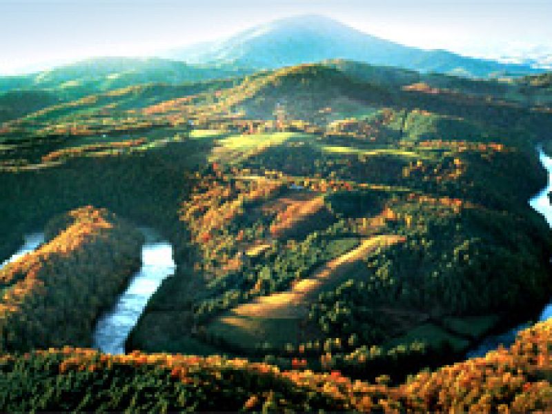 New River in Laurel Springs, NC  VisitNC.com