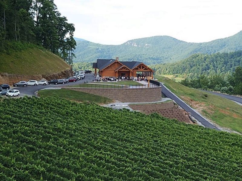 Point Lookout Vineyards & World’s Edge Meadery