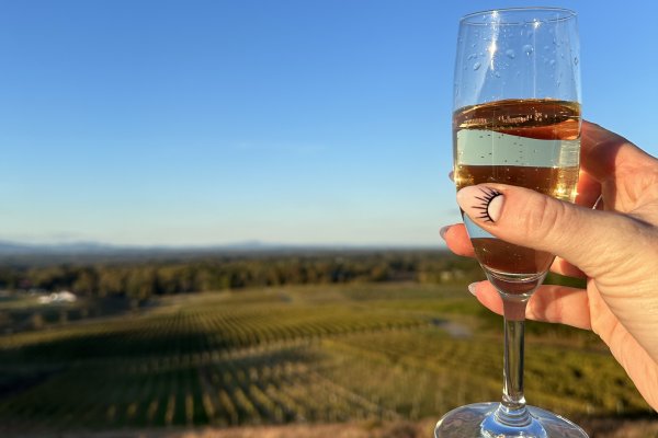 Manicured hand holding glass of bubbles in front of camera with vineyards in background