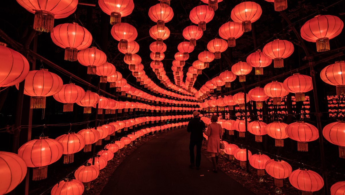 Couple walking through Chinese lantern walkway at night.