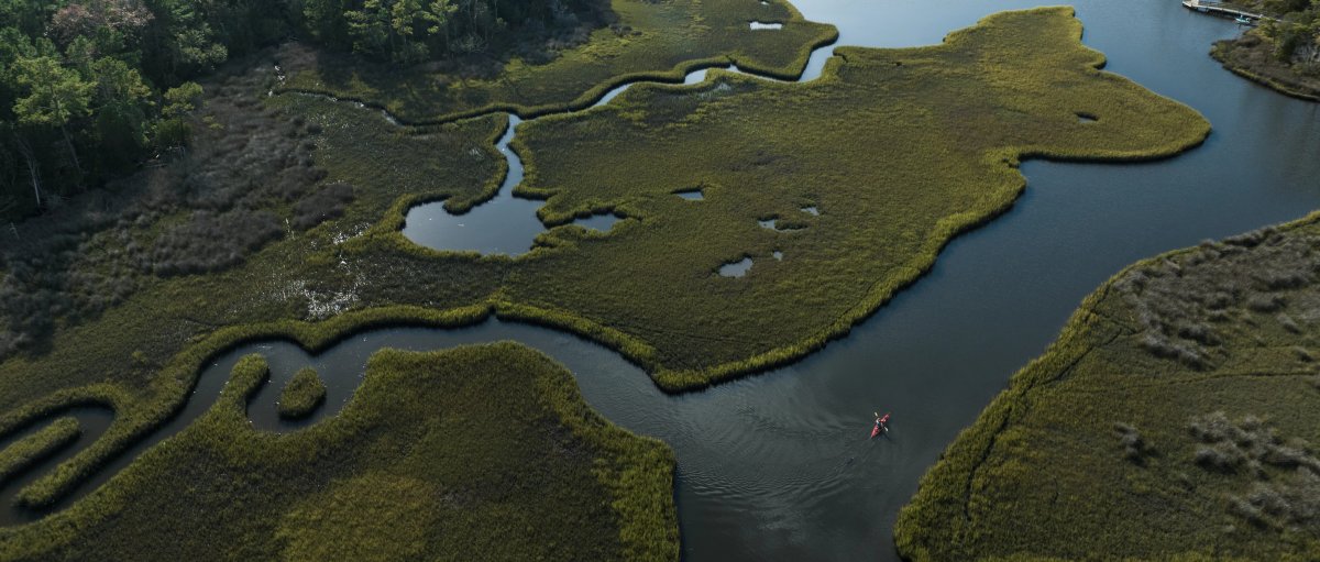Aerial of kayaker paddling through meandering marsh in coastal forest
