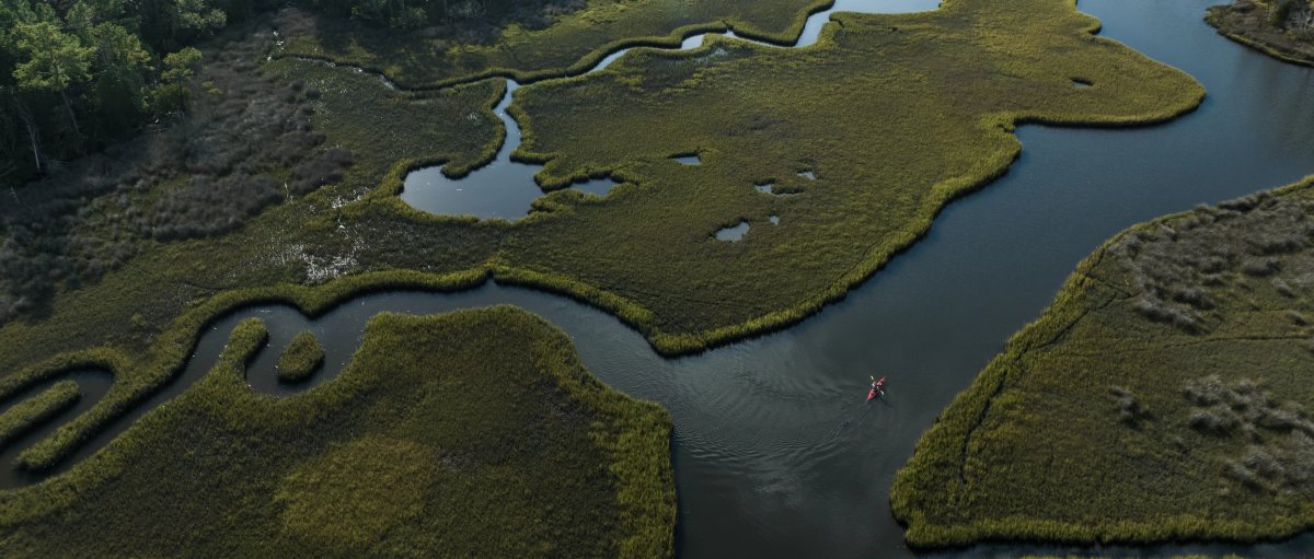 Aerial of kayaker paddling through meandering marsh in coastal forest
