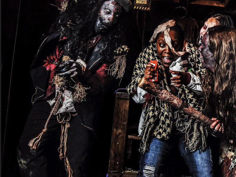 dark woods haunted attraction