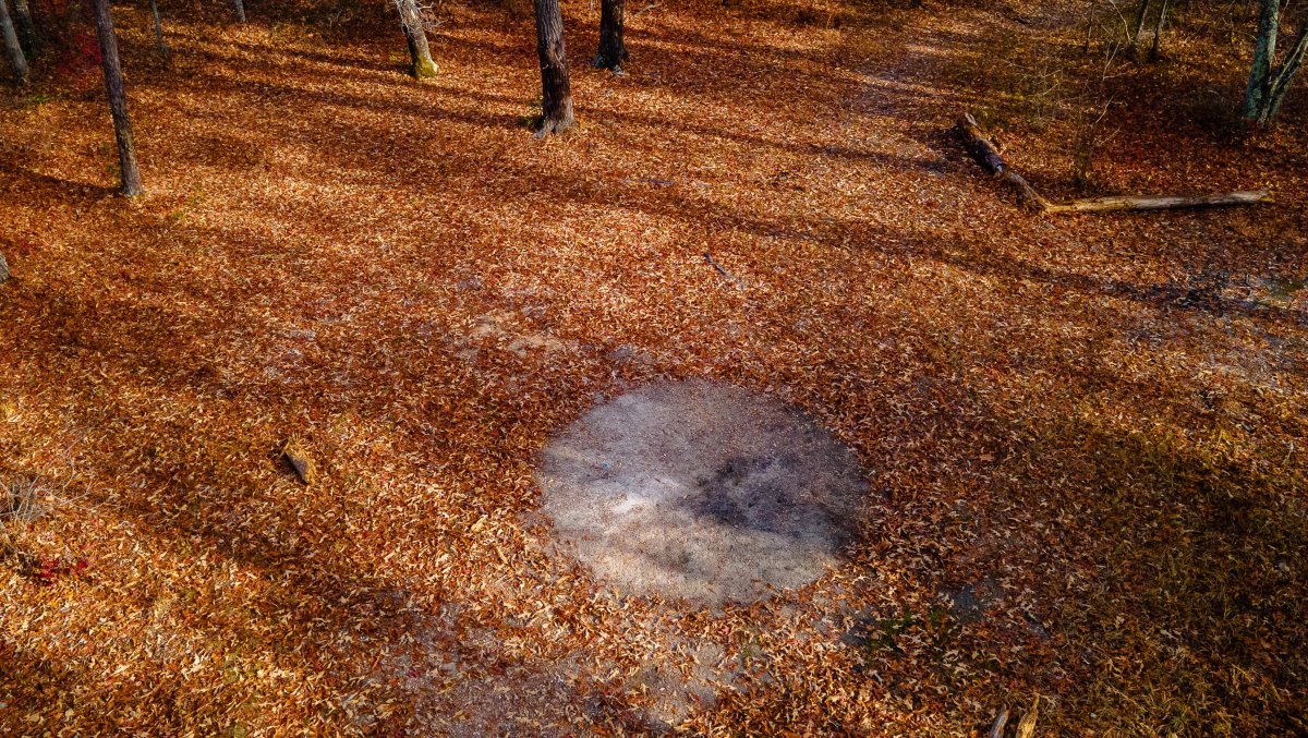 Overhead shot of empty area in woods with haunted circle of land in middle