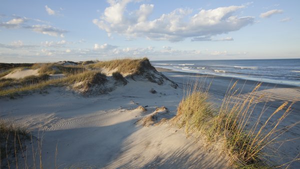 Best Beaches to Visit on the North Carolina Coast | VisitNC.com