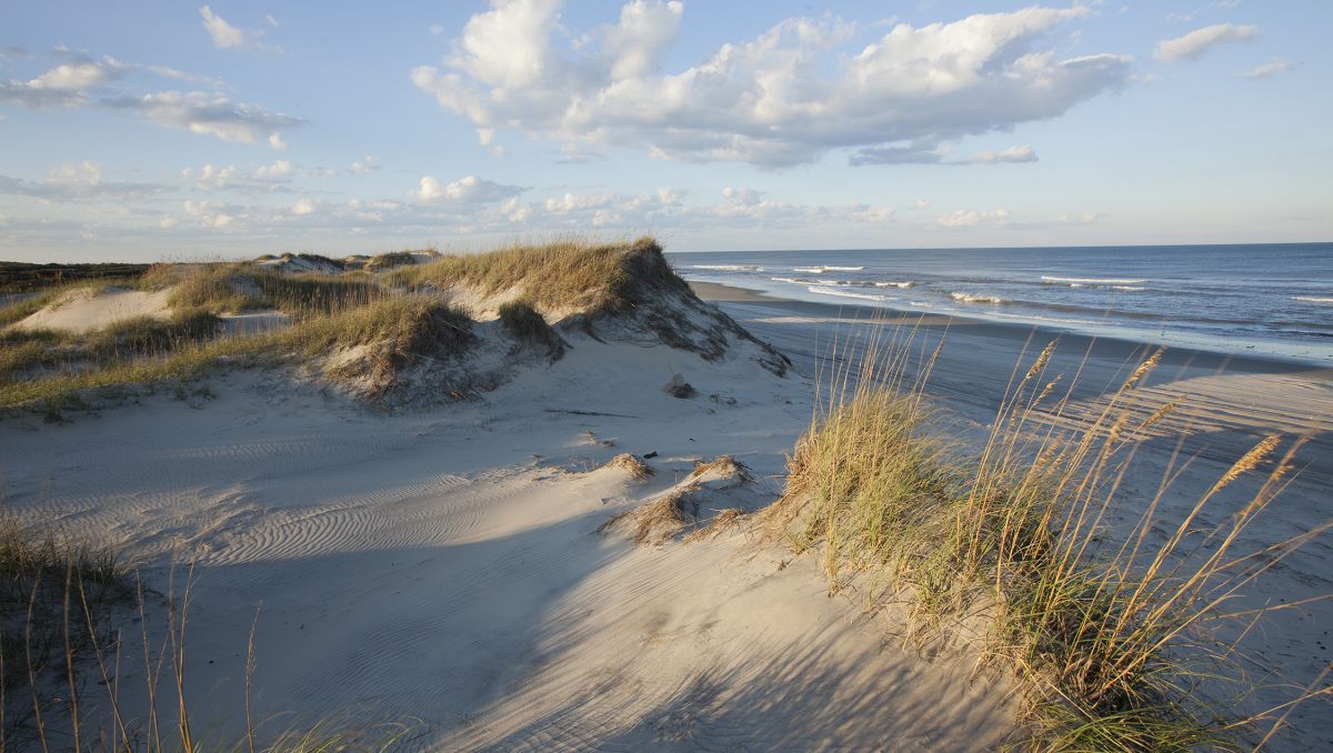 Top spots for a seashell treasure hunt on the Gulf Coast