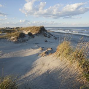 Things to Do in Atlantic Beach, Beaufort - NC Coast | VisitNC.com