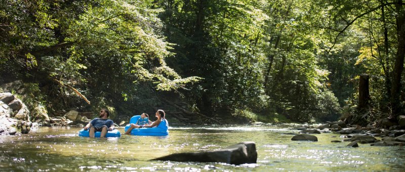 Family tubing down river surrounded by green trees