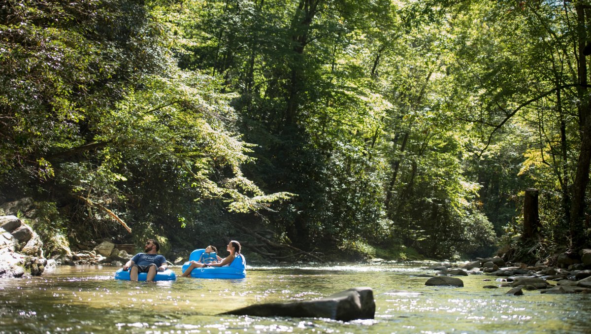 Family tubing down river surrounded by green trees